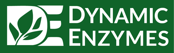 Dynamic Enzymes