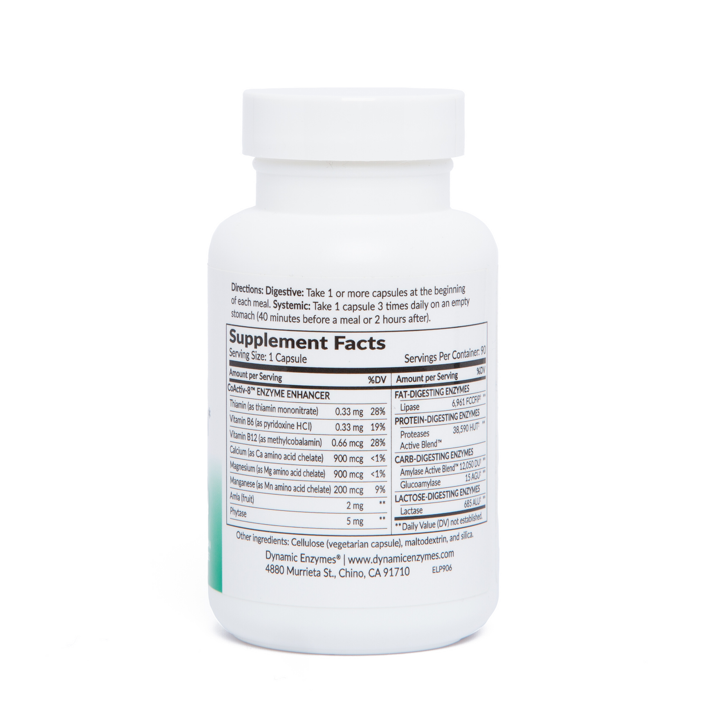 Lipase Plus